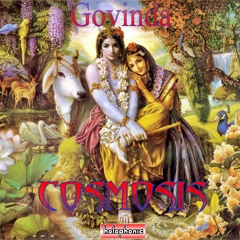 Govinda - Cosmosis
