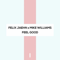 Felix Jaenh & Mike Williams-Feel Good (Dan Zervos Remix)