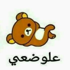 قطتي صغيرة .. منظور جديد 😊