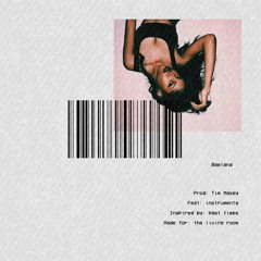 100% (prod. Tim Maxey)