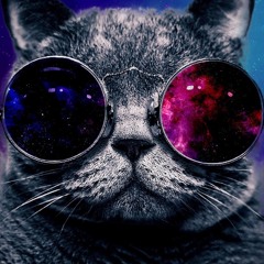 cat feeders (prod. liqliqbeatz)