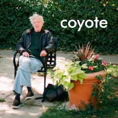 Coyote