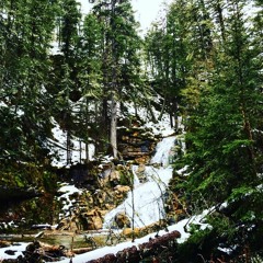 Rock Salt And Nails (Cover)