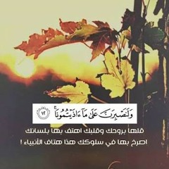 " وَعَلَى اللَّهِ فَلْيَتَوَكَّلِ الْمُتَوَكِّلُونَ "سورة إبراهيم .. my voice 💜