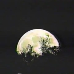 still (nothing,nowhere flip)