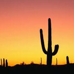 Human Paranoia - The Gods of Isando