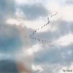 날자, 두번 날자 (Ft. lake pic)