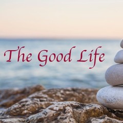 The Good LIfe Episode VI