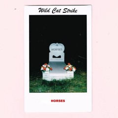 Wild Cat Strike - Horses