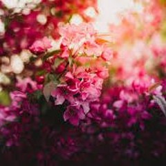 my songs