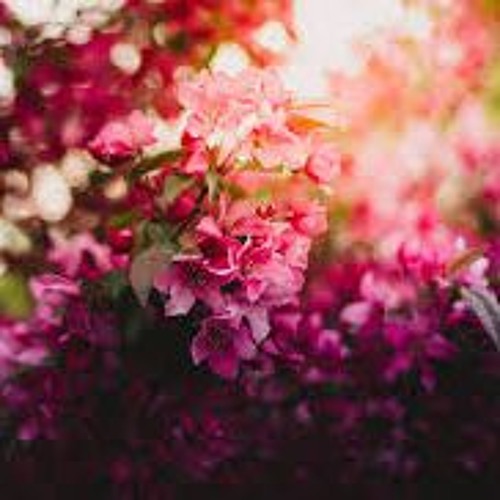 فتاة عربية تغني اغنية ميجنا بصوت عربي تركي روعة-ميجينا-mi gina