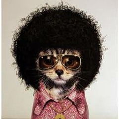 Groovy Beats