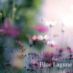 Europe  /  the Blue Lagune (Original)