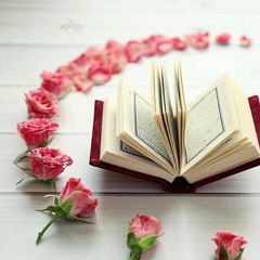 تفسير  عام لسورة المائدة (الجزء الاول) د احمد عبد المنعم