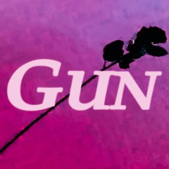 Gun