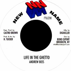 Andrew Bees - Life in the ghetto