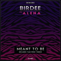 Meant To Be (Ft Alena) - Yam Who? Remix
