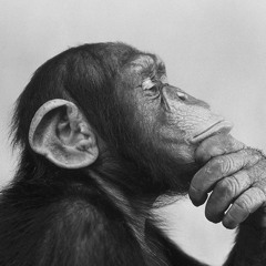 The Bad Batch Trailer2 Song (Banks - Waiting Game)