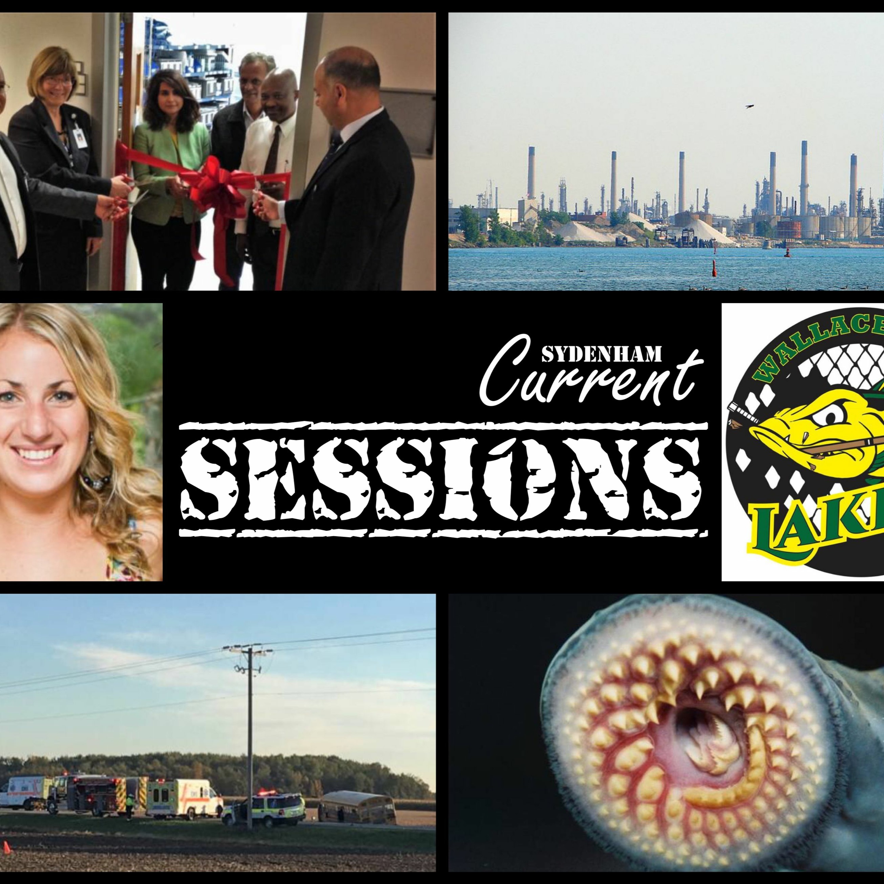 Sydenham Current Sessions