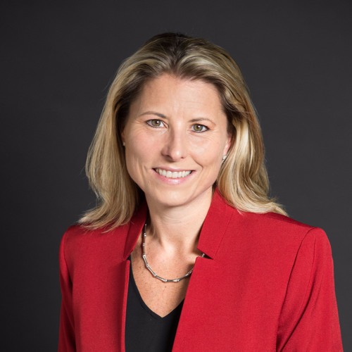 Stream Robin Lois Is Endorsed By Poughkeepsie Journal by Dutchess