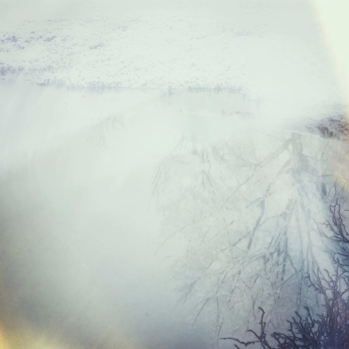 Hollow (Preview)
