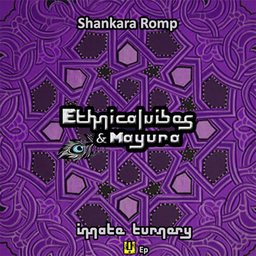 EthnicalVibes & MaYurA ılı Shankara Romp ılı