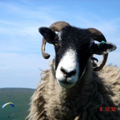 The Tuss - [S770SCI 3000powertran] beautiful Japanese people