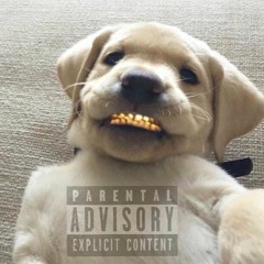 #MOOVIN ON DA LOW# FT.Newportgodly**