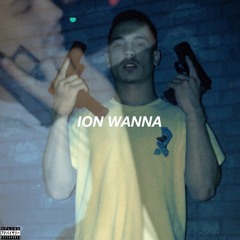 Ion Wanna ( Prod. By Parunormal )