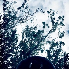 Lay Low (Prod. THZ)