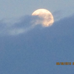 She's My Favorite Dream