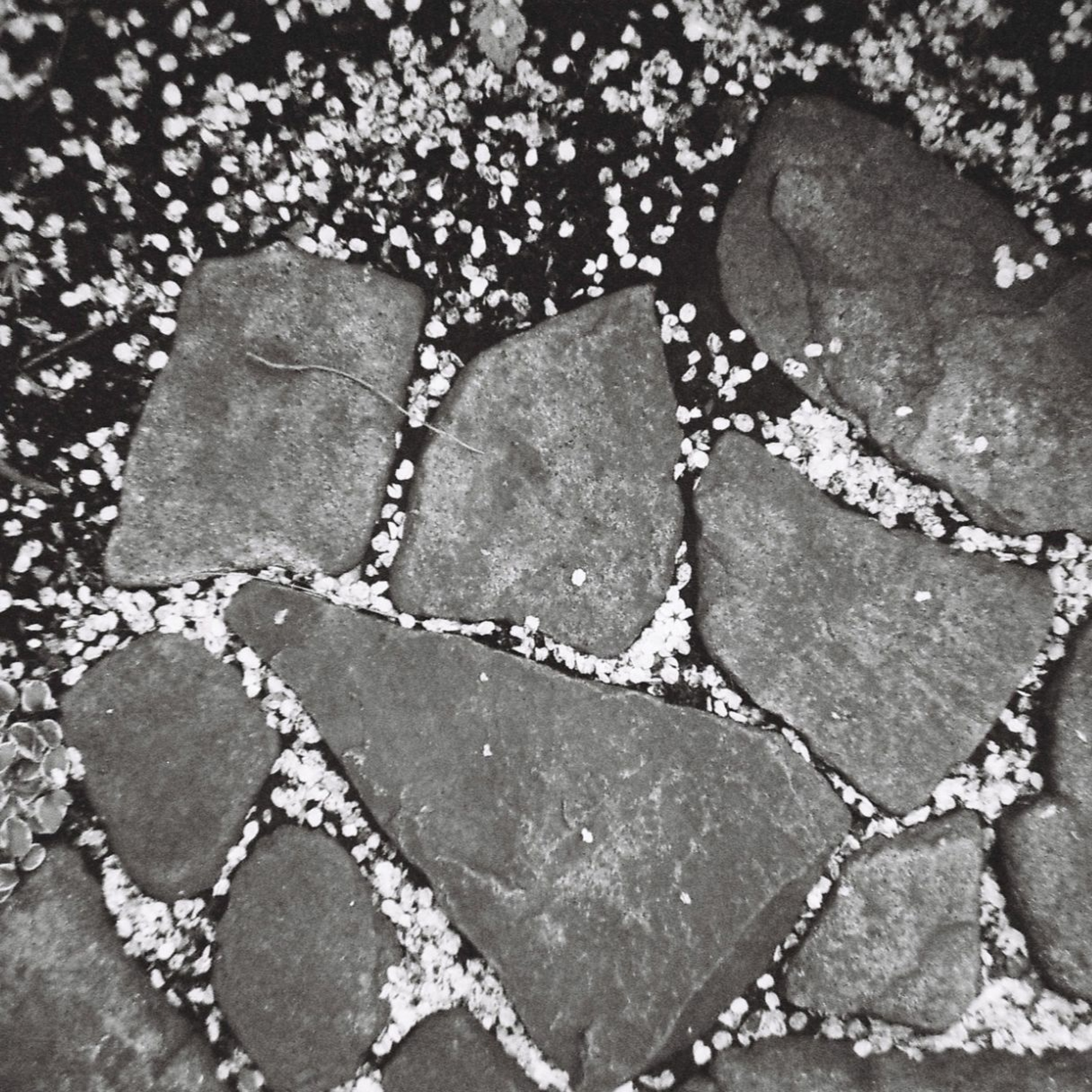 'Clouds of Blossoms' - a talk by Sangha-member Gerard Mazza (5 October 2017) episode artwork