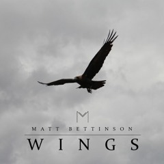 Matt Bettinson - Wings