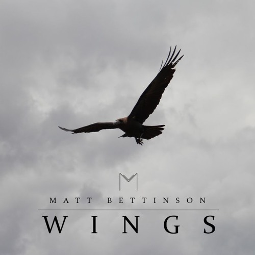 Matt Bettinson - Wings