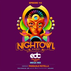 Night Owl Radio 113 ft. EDC Orlando 2017 Mega-Mix
