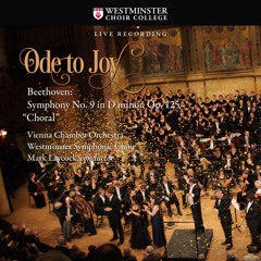 Symphony No. 9 in D Minor, Op. 125 "Choral": I. Allegro ma non troppo, un poco maestoso (Live)