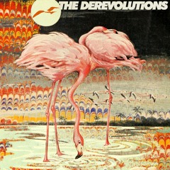 the derevolutions - Learning to Fly