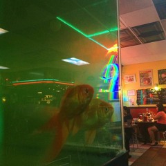 SALOH BOY - Wood Fired Baby Boy Ft. Sirron