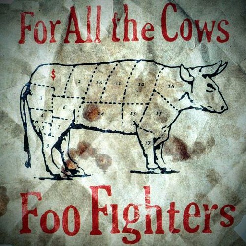 Foo Fighters - For All The Cows