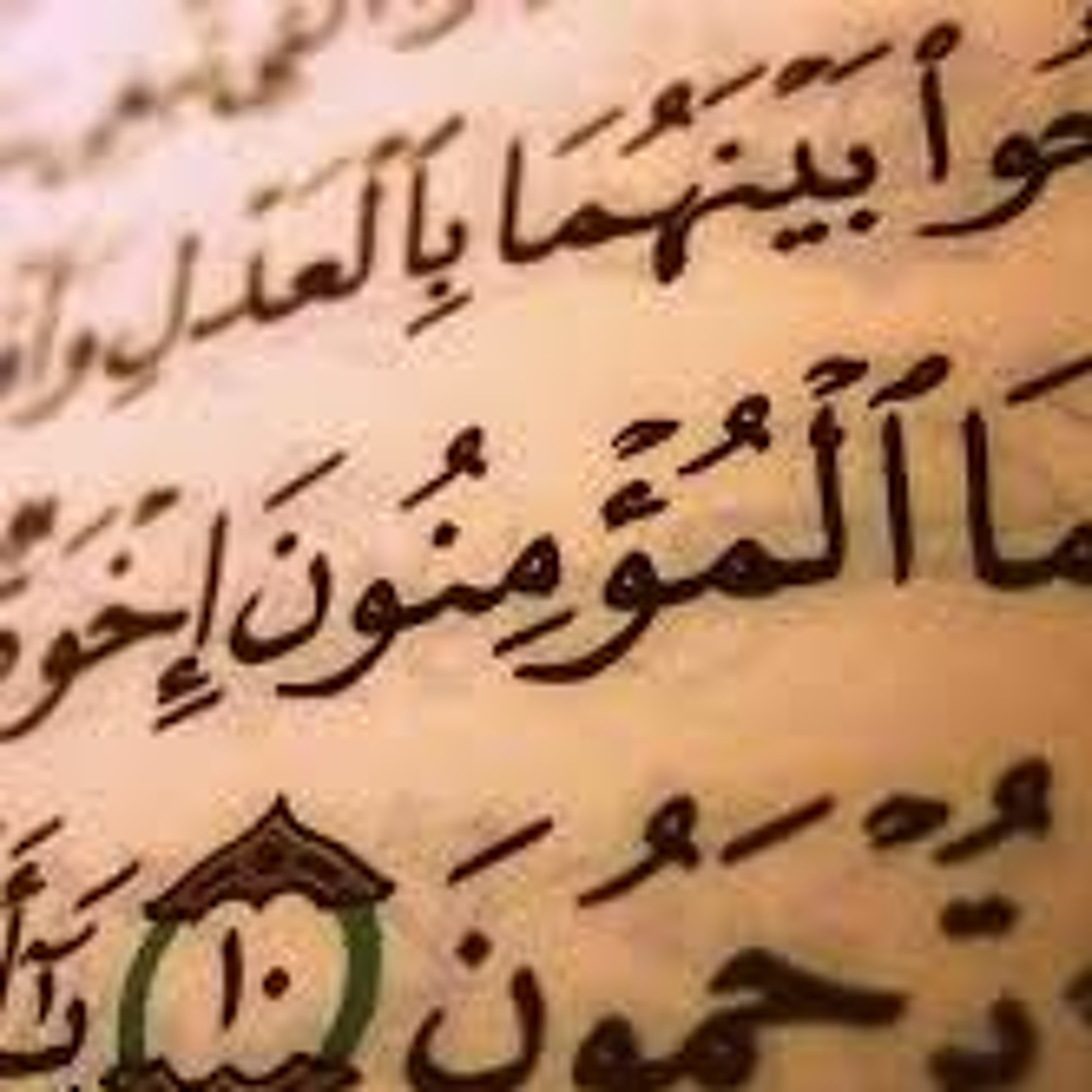 Essentials Module 3 Class 5