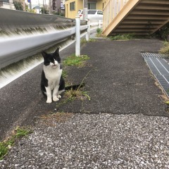 Under a cloudy sky(2016 demo)