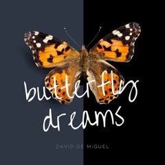 David de Miguel - "Butterfly Dreams"