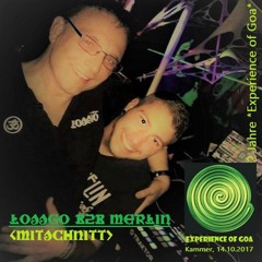 #Lossgo B2B #Merlin - 2 Jahre Experience of Goa, Kammer (Mitschnitt)