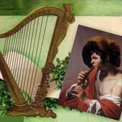 Tu ch'ai le penne, amore