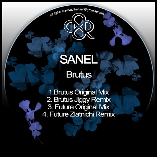 Future (Zlatnichi Jaro Mix)