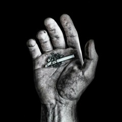 SAMPAI KAU BISA - BRIGATA CURVA SUD (LIVE RECORD)