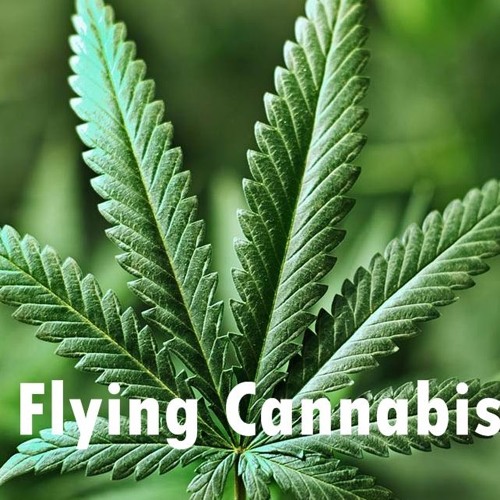 Stream MA- Flying Cannabis OFFICALDUBSTEP by Mertcan Aksöz Music ...