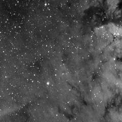 Chasing Cars - Snow Patrol (cover)