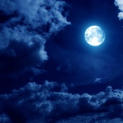 إِنَّا كُلَّ شَيْءٍ خَلَقْنَاهُ بِقَدَرٍ (49)  الشيخ شعبان الصياد