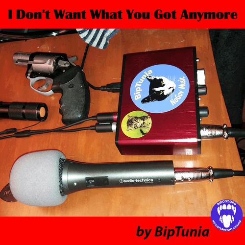 I Don't Want What You Got Anymore